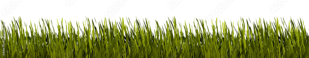 grass border stylized on transparent background - obrazy, fototapety, plakaty 