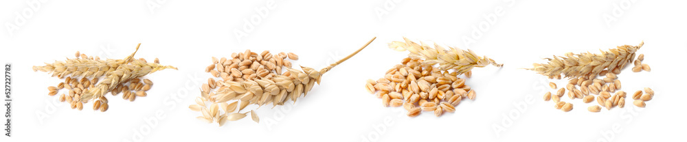Set with heaps of wheat grains on white background. Banner design Set with heaps of wheat grains on white background. Banner design