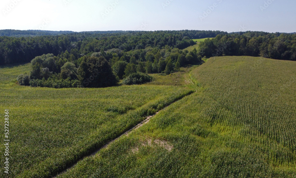 Aerial view of agro rural fields. Harvesting on the farm landscape
