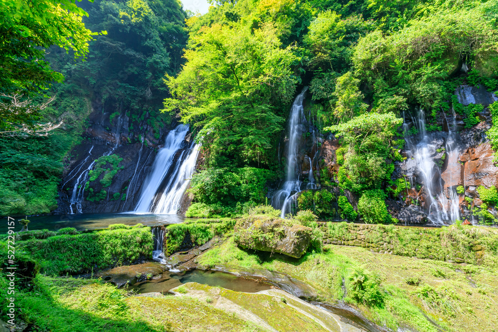 夏の白水の滝　大分県竹田市　Shiramizu Waterfall in Summer. Ooita-ken Takeda city.
