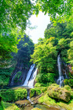 夏の白水の滝　大分県竹田市　Shiramizu Waterfall in Summer. Ooita-ken Takeda city.