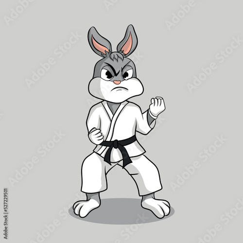 illustration art cute karate rabbit character design