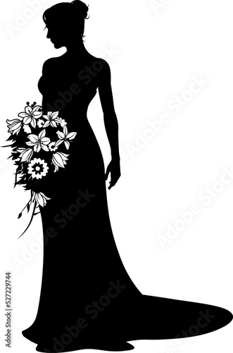 A woman bride in a bridal wedding dress in a silhouette