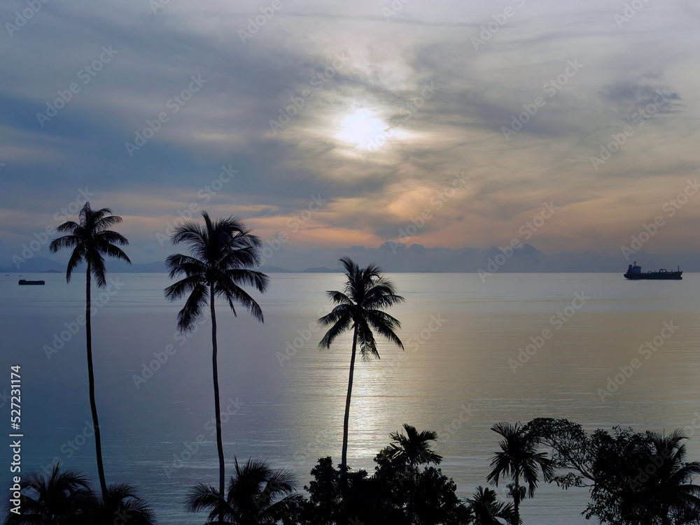 Wallpaper of peaceful pastel sunrise sunset seascape and ocean sky with coconut trees silhouette foreground