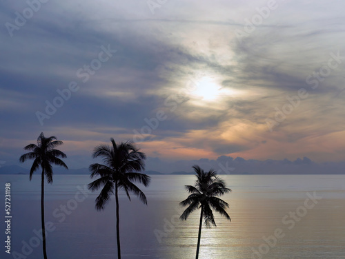 Wallpaper of peaceful sunrise sunset seascape and ocean sky with coconut silhouette foreground
