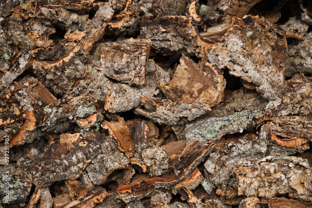 Cork bark harvested from the trunk of the cork oak (Quercus suber) for the industrial production of wine cork stoppers in the region of Cadiz, Spain. Cork bark harvested from the trunk of the cork oak (Quercus suber) for the industrial production of wine cork stoppers in the region of Cadiz, Spain.