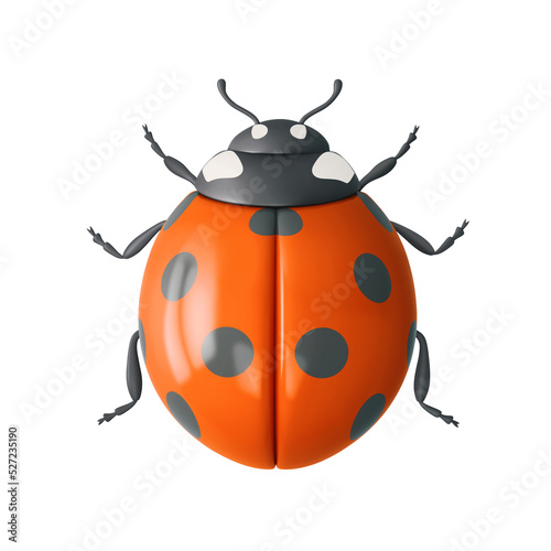 Orange ladybug isolated on white background. Clipping path included © ptasha