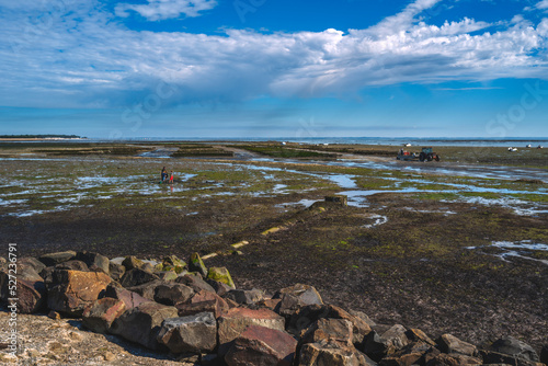 Low tide, Noirmoutier photo