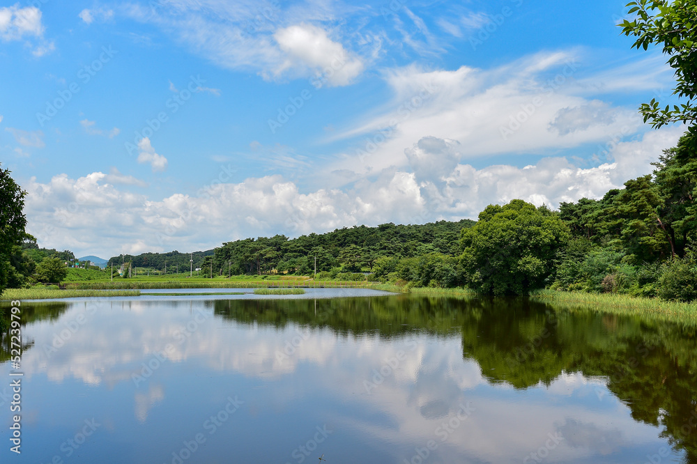 Fototapeta premium Overgrown with old trees around the Daejeong reservoir in Imsil-gun, Jeollabuk-do, South Korea.