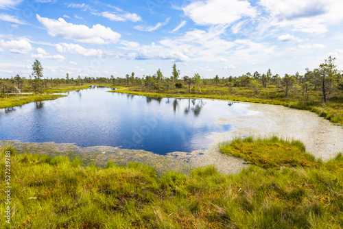 Great Kemeri Bog swamp at the Kemeri National Park in Latvia