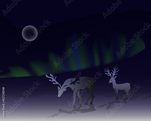 Winter snowy landscape, deers  are walking. The moon and northern lights are in the sky. Atmospheric winter illustration.