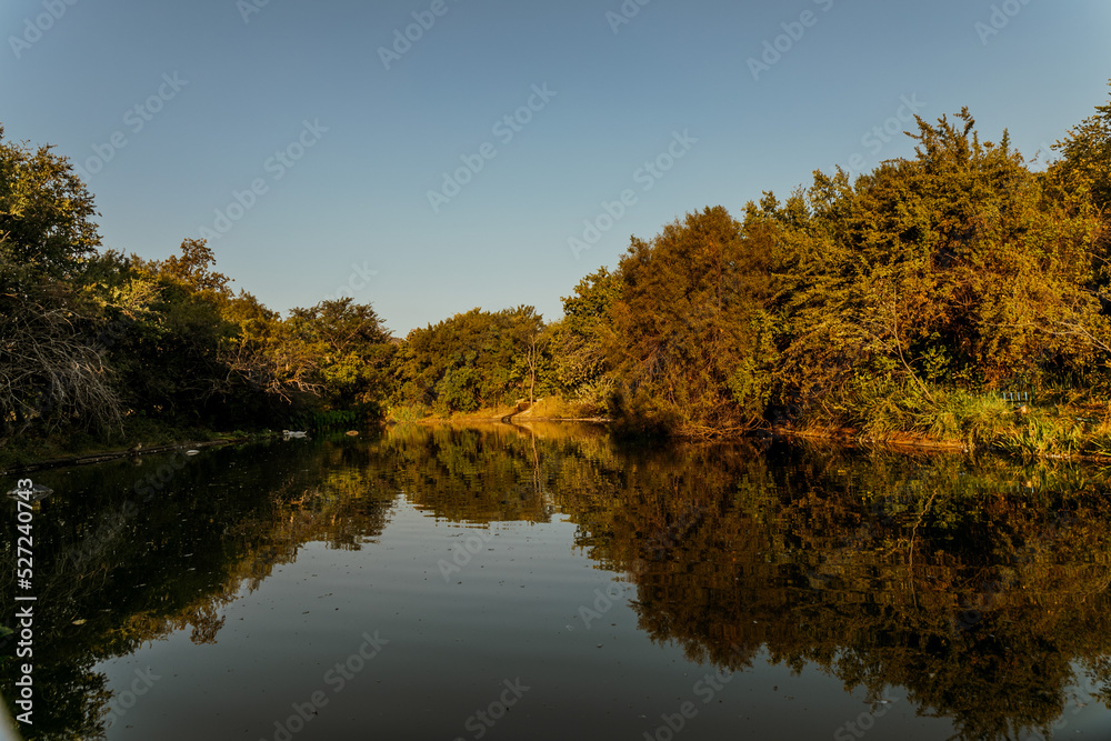 Lake with trees