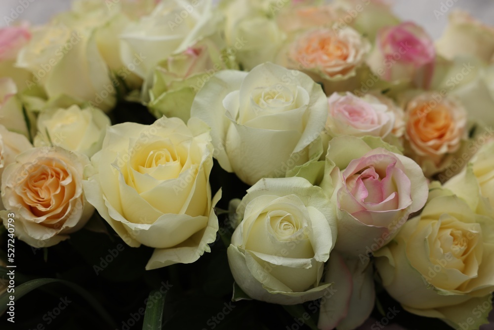 Bouquet of different beautiful roses, closeup view