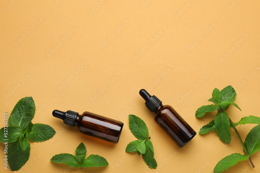 Bottles of essential oil and mint on pale orange background, flat lay. Space for text Bottles of essential oil and mint on pale orange background, flat lay. Space for text