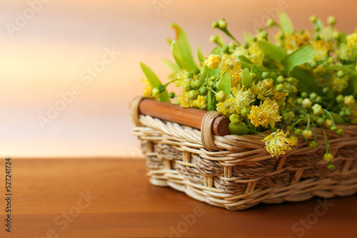Beautiful linden blossoms and green leaves in wicker basket on wooden table. Space for text