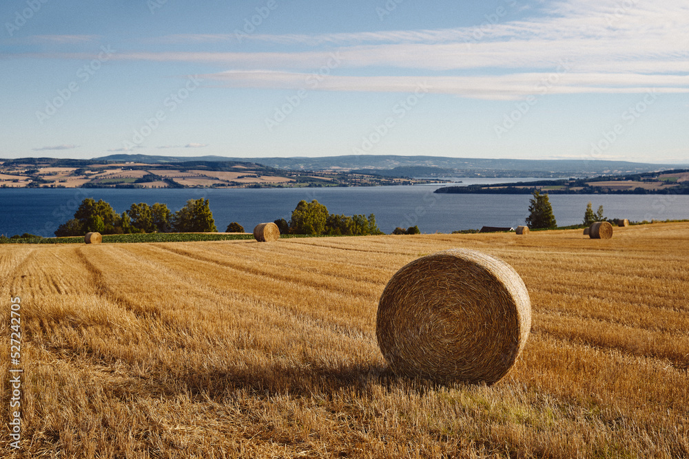 A straw bale from Toten by Lake Mjøsa,, Norway, a summer morning of August 2022.