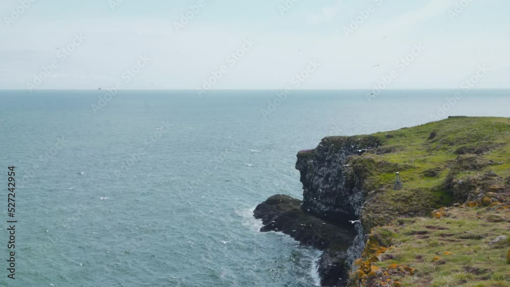 Seabird colony above Fowlsheugh sea coast cliffs in Scotland. Seabird colony above Fowlsheugh sea coast cliffs in Scotland.