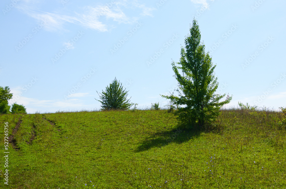 Scenic summer landscape view of green hill with trees. Blue sky background. Rural scene. Nature concept. Green meadows with blue flowers and trees. Sky and clouds background Scenic summer landscape view of green hill with trees. Blue sky background. Rural scene. Nature concept. Green meadows with blue flowers and trees. Sky and clouds background