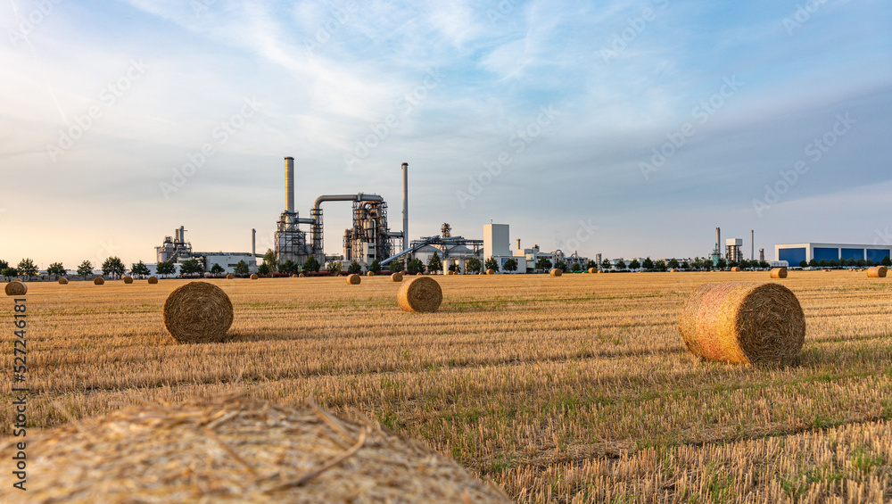 Fototapeta premium Strohballen auf dem Feld