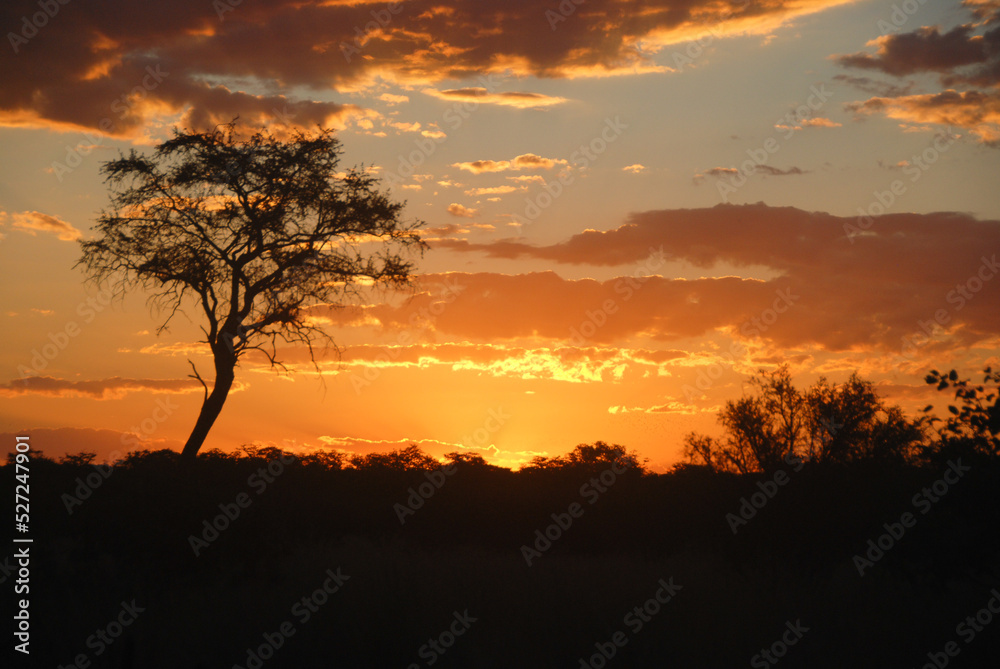 sunset and cloudscape over serengeti national park in africa sunset and cloudscape over serengeti national park in africa