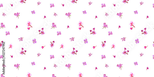 Digital seamless pattern with 
colorful wild flowers .  With transparent layer