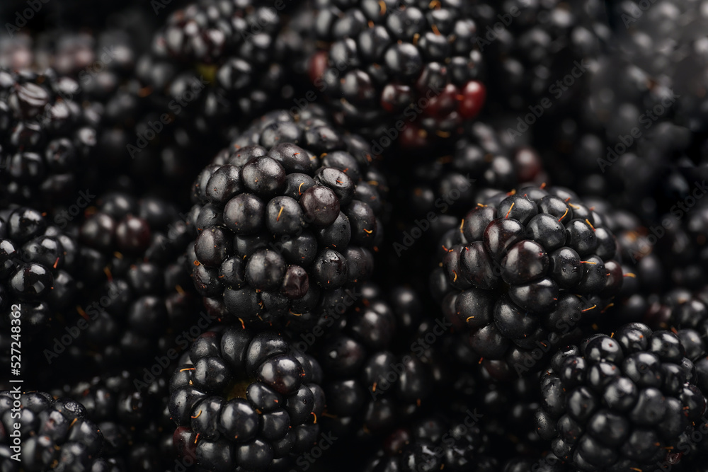 a heap of fresh ripe blackberries in a black plate a heap of fresh ripe blackberries in a black plate