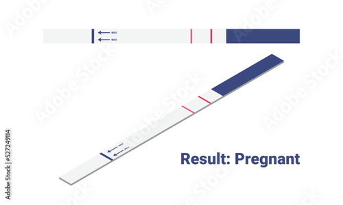 Positive pregnancy test result isometric vector illustration. Pregnancy positive test with 2 stripes flat design clipart. Pregnant result. Medical, female reproductive, planning of pregnancy concept