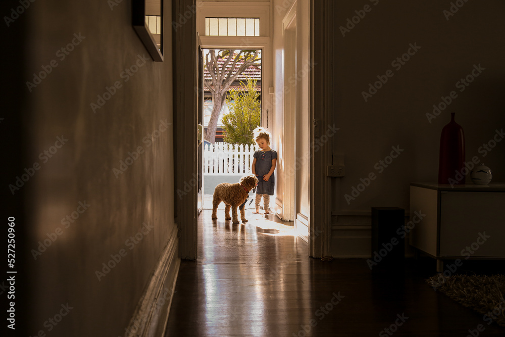 silhouette shot of a little girl with a dog on a leash in the corridor silhouette shot of a little girl with a dog on a leash in the corridor