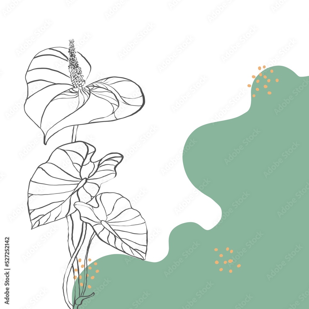 Fototapeta premium Background with plants.