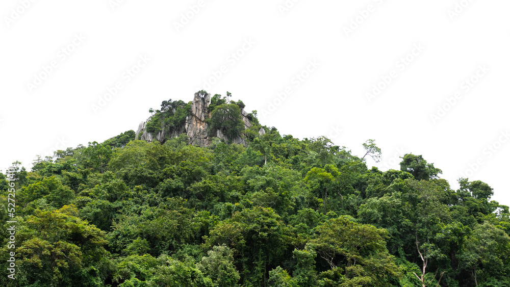 Rock Mountain with tree  white background