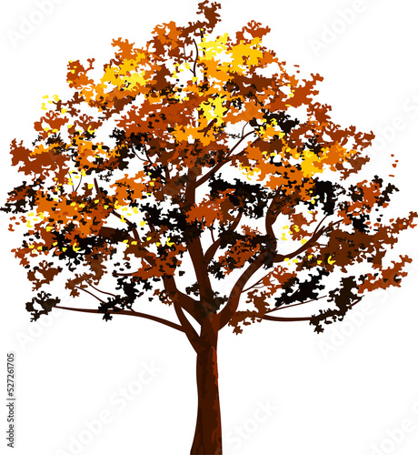 Autumn tree © Lifestyle Graphic