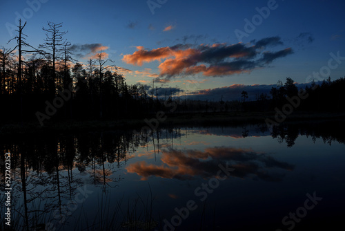 Romance of the Finnish taiga and landscape at sunset