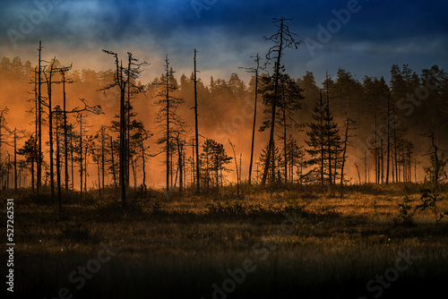 Romance of the Finnish taiga and landscape at sunset