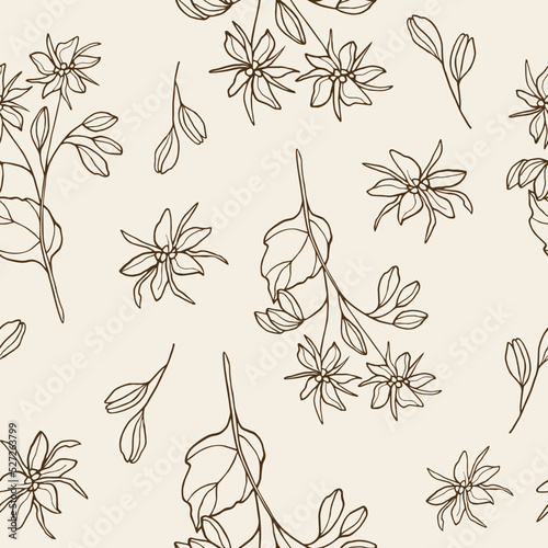 Hand drawn borage flower seamless pattern photo