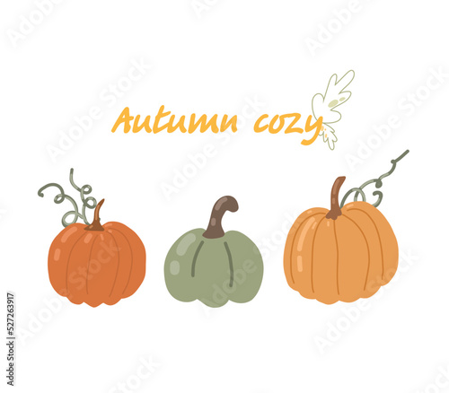 Pumpkin illustration. Autumn illustration with pumpkins for postcards, posters, decor, advertising.
