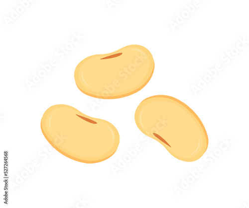 Flat lay of Soybeans  levitate, soya splash nature food logo design. Benefits of Soy, healthy concept vector design and illustration.
