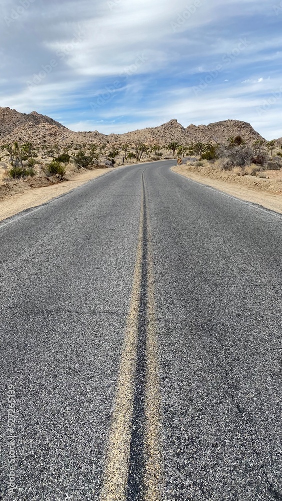 Joshua Tree Park, Californie Joshua Tree Park, Californie