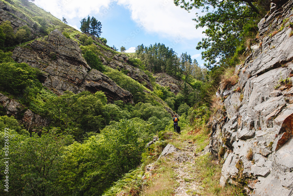 unrecognizable person with a backpack hiking with his dog through a mountain and forest landscape
