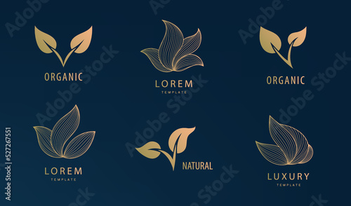 Vector plant, eco nature logo set. Emblem leaves, linear style. Badge for products, cosmetics, ecology concepts, health, spa, yoga design.