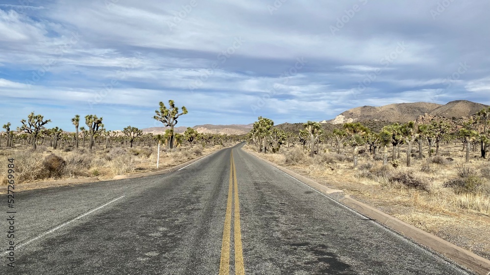 Joshua Tree Park, Californie