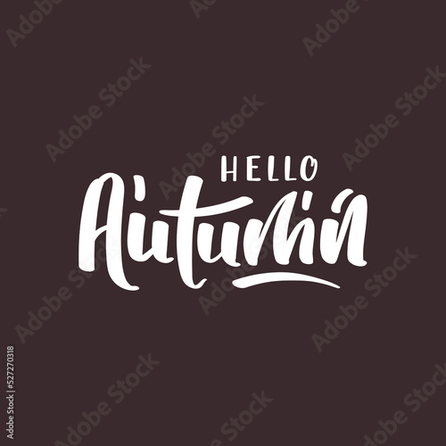 "Hello autumn" handwritten lettering. Vector illustration. Card, cover, postcard.