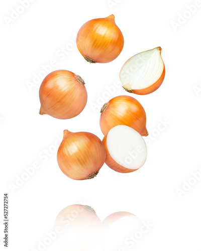 Canvas Print Onion flying in the air isolated on white background.