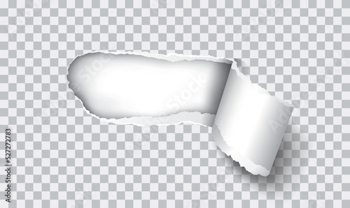 Vector realistic torn paper with rolled edge on transparent background - frame for your text or design