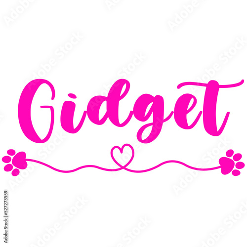 Gidget Name for Baby Girl Dog photo