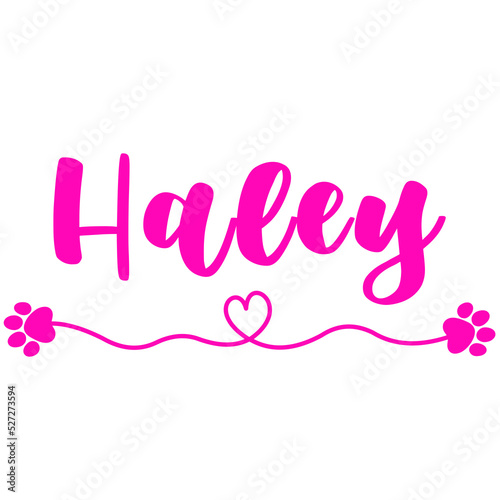 Haley Name for Baby Girl Dog photo