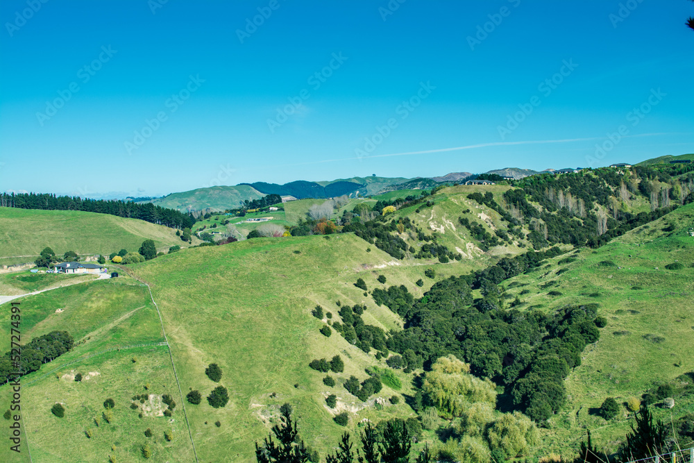 Stunning rural landscape of farmland pasture and forests in hill country of Hawke's Bay. Iconic New Zealand