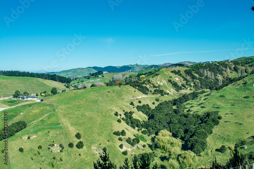 Stunning rural landscape of farmland pasture and forests in hill country of Hawke's Bay. Iconic New Zealand © Irina B