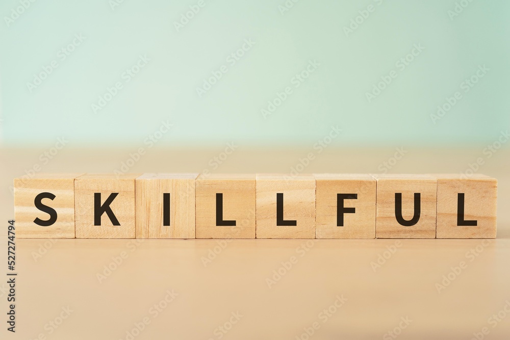 Φωτογραφία SKILLFULLと書かれたブロック