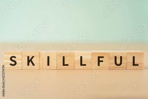 Tableau sur toile SKILLFULLと書かれたブロック