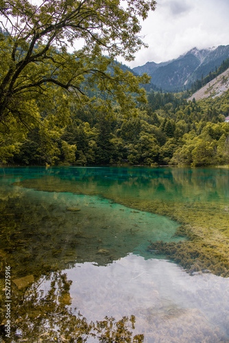 Clean mountain river and majestic mountains with ancient forest. Jiuzhaigou nature reserve and national park  China.